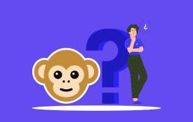 From Strangers To Friends: Stories Of Connection On Monkey App