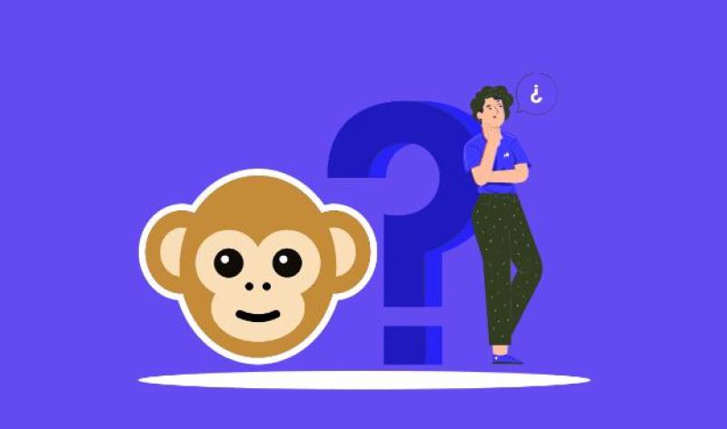 From Strangers To Friends: Stories Of Connection On Monkey App